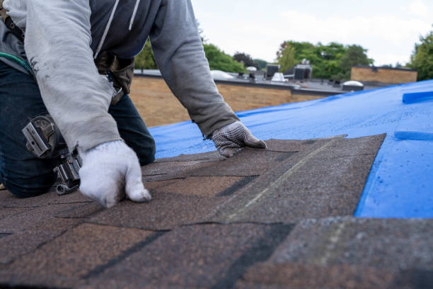 Best Commercial Roofing Services  in Shongopovi, AZ