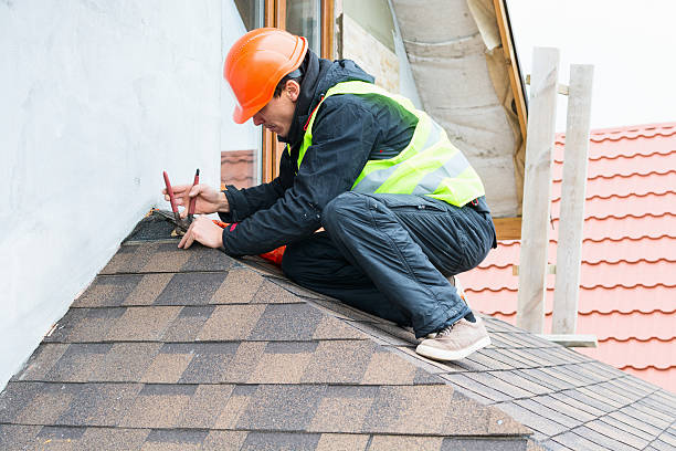 Best Flat Roof Repair Services  in Shongopovi, AZ